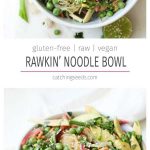 This Rawkin' Raw Noodle Bowl is a quick and easy no cook summer dinner! This healthy recipe is loaded with veggies and coated with a creamy dressing. | CatchingSeeds.com