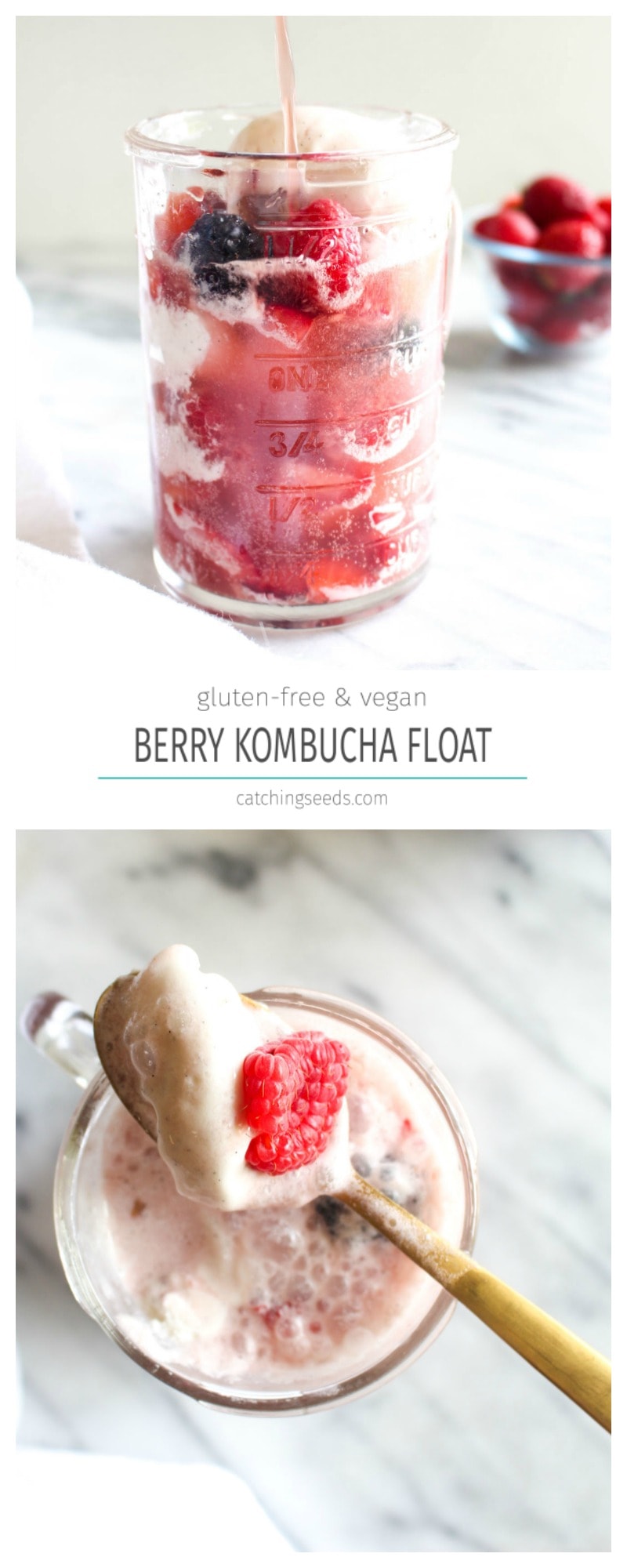 This Kombucha Float with Summer Berries is a 3 ingredient summertime dessert. Probiotic kombucha gets poured over coconut ice cream and fresh berries for an easy dairy free recipe. | CatchingSeeds.com