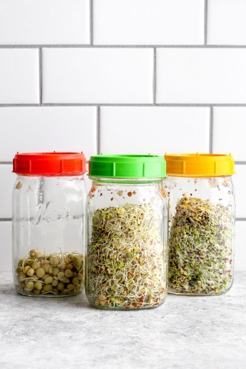 Mason Jar Germination Growing Kits Wide Mouth Jars Germinator 2 Pack Seeds Sprouting Kit Indoor Sprouter Set for Broccoli Alfalfa Beans Microgreens Sprouts 