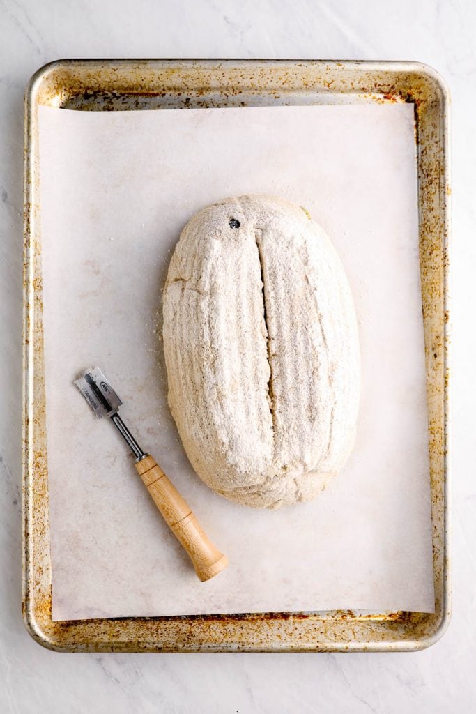 Gluten free olive bread on a sheet pan with a slit made from a lame.