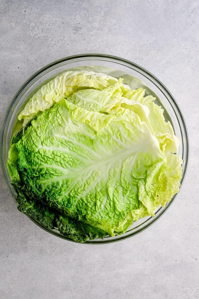 Savoy cabbage leaves soaking in boiling water.