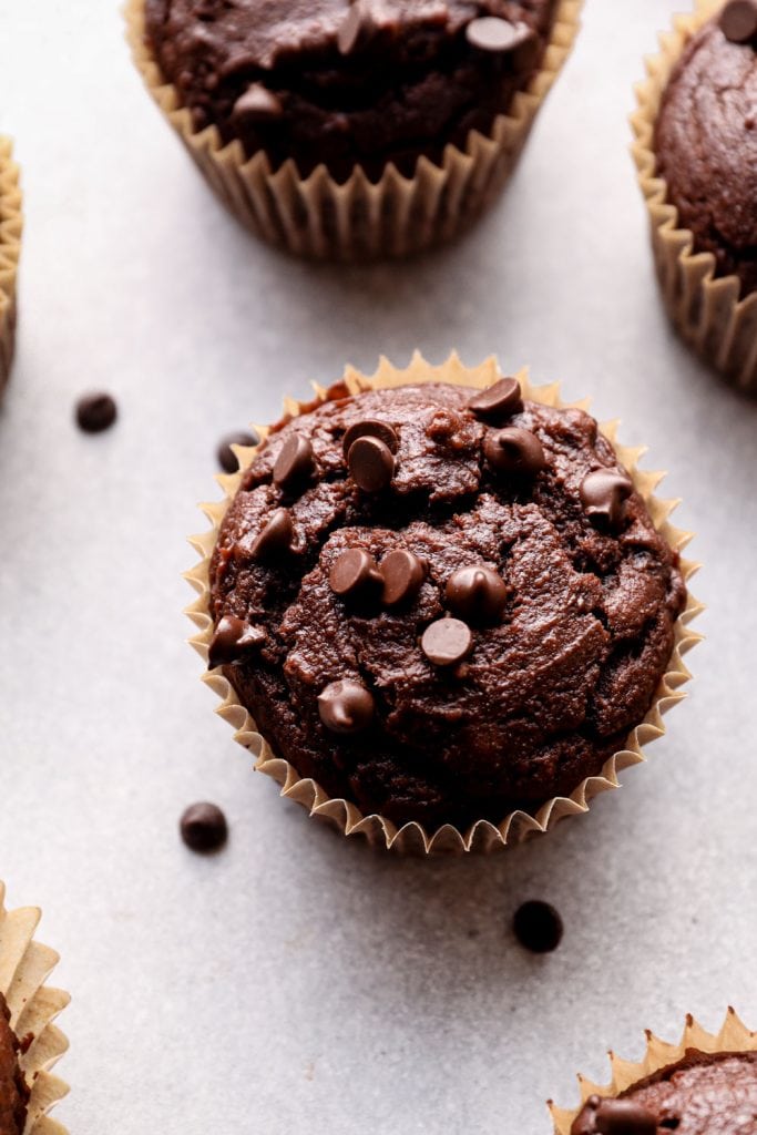 Chocolate Muffins on a grey background.